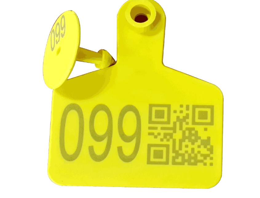 Wisely LP Fiber Laser - 30W/MY-M20F-III/Fixed Pulse Width Sample Wisely LP Fiber Laser - 30W/MY-M20F-III/Fixed Pulse Width Sample