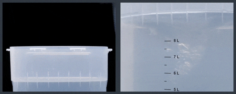 Phrozen Wash & Cure Kit - Washing Station