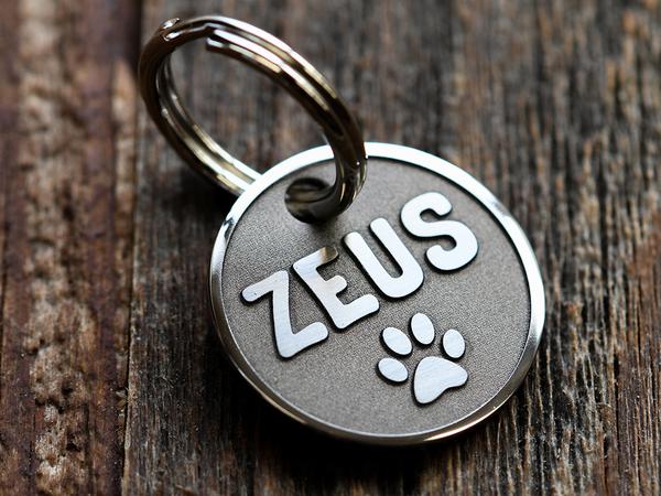 Wisely LP Fiber Laser - 30W/MY-M20F-III/Fixed Pulse Width Sample