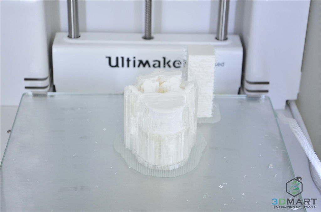 3DMART Ultimaker3 雙噴頭 3D列印機(jī) 水溶性支撐  骨頭模型